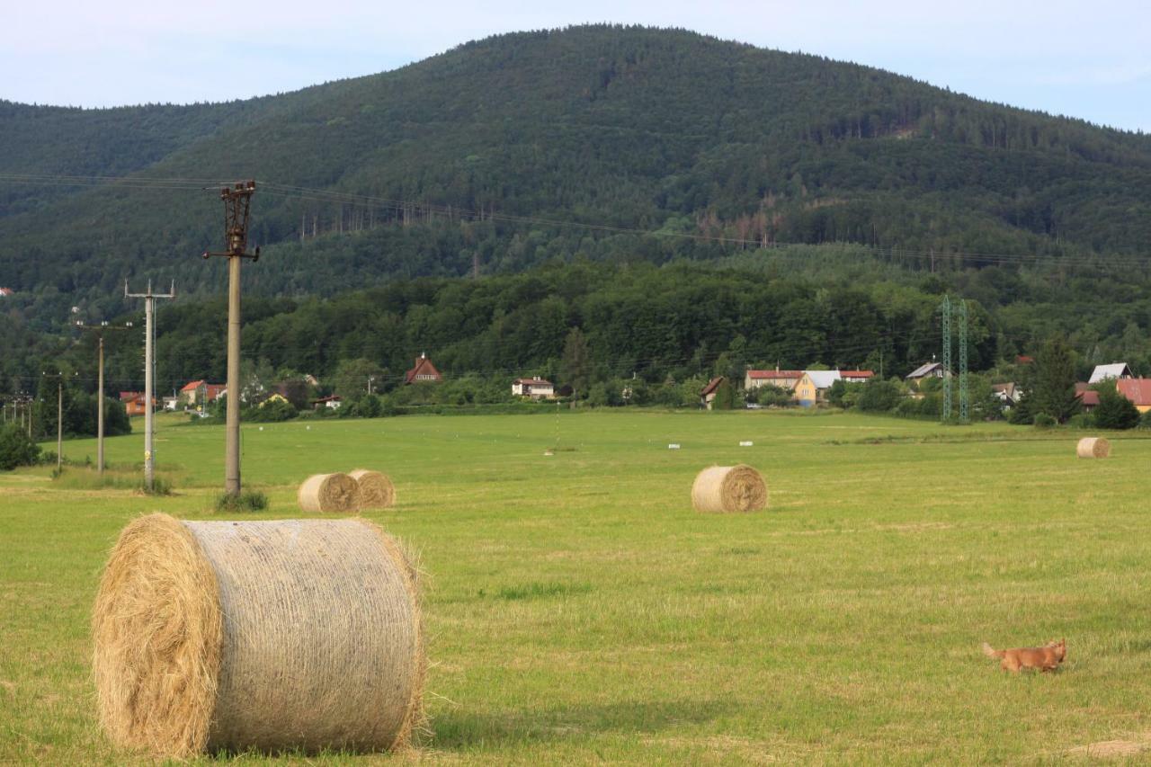 Apartmán pod Černou horou Apartamento Rožnov pod Radhoštěm Exterior foto